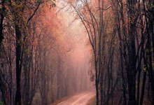 壹号娱乐官网:黄健翔谈国足:定位球攻防没有进步,整体战术布局也许可以更好.