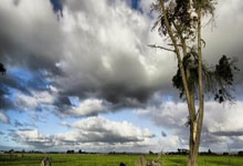 WTT法兰克福冠军赛2024女单决赛王曼昱夺冠@WTT世界乒联.